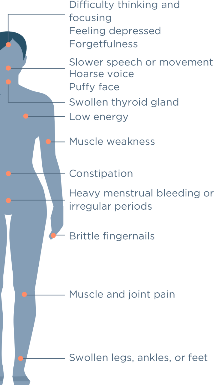 Thyroid Medication Dosage Chart